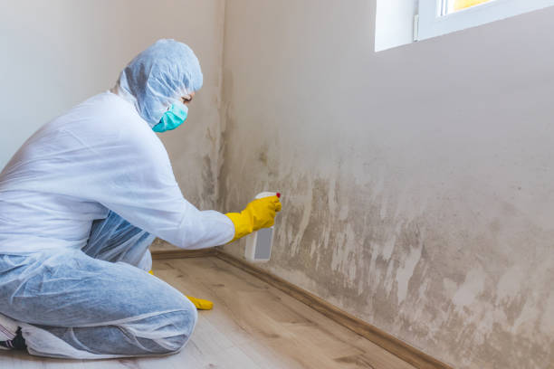 Commercial Mold Remediation assessment for commercial property in Highlands